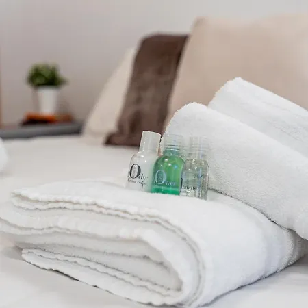 Apartment Martin's - Stylish Historic With Free Parking, Fast Wi-fi, Ac, Perfect For Couples & Business In Center *